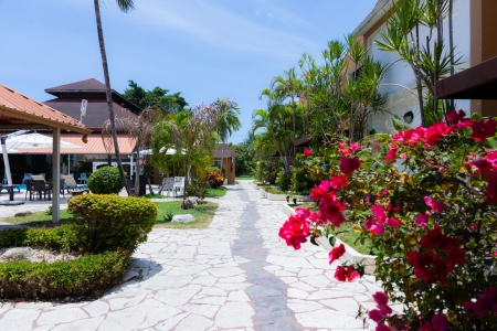 jardin